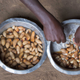 Palm weevil larvae being gutted in Uganda (Photo: Nordic Food Lab)